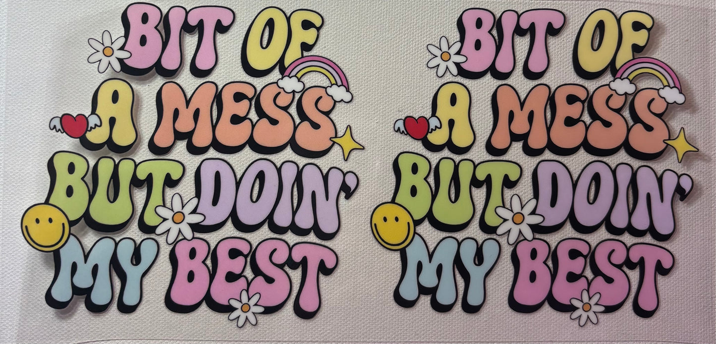 A Little of a Mess-37