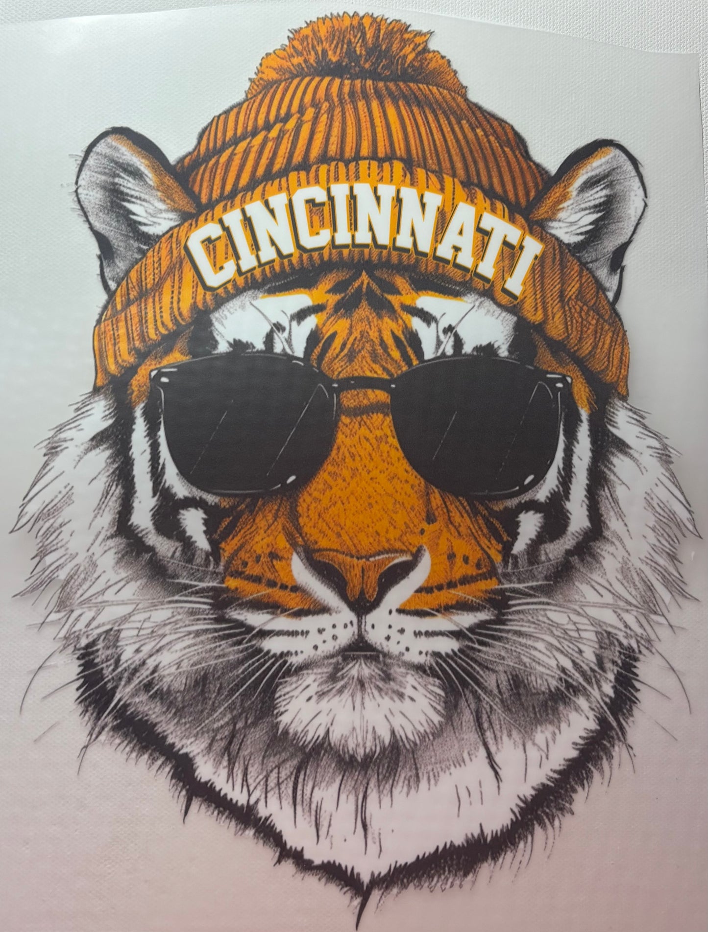 Cincinnati Bengals