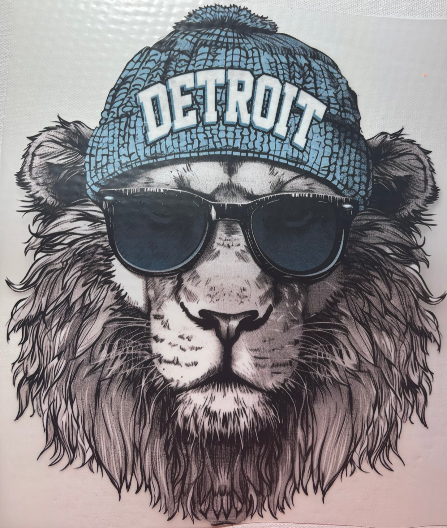 Detroit Lions