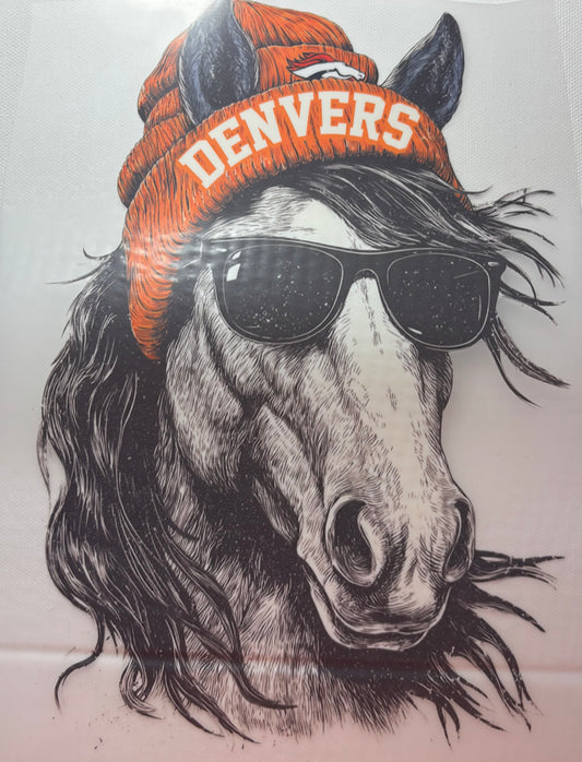 Denver Broncos ￼