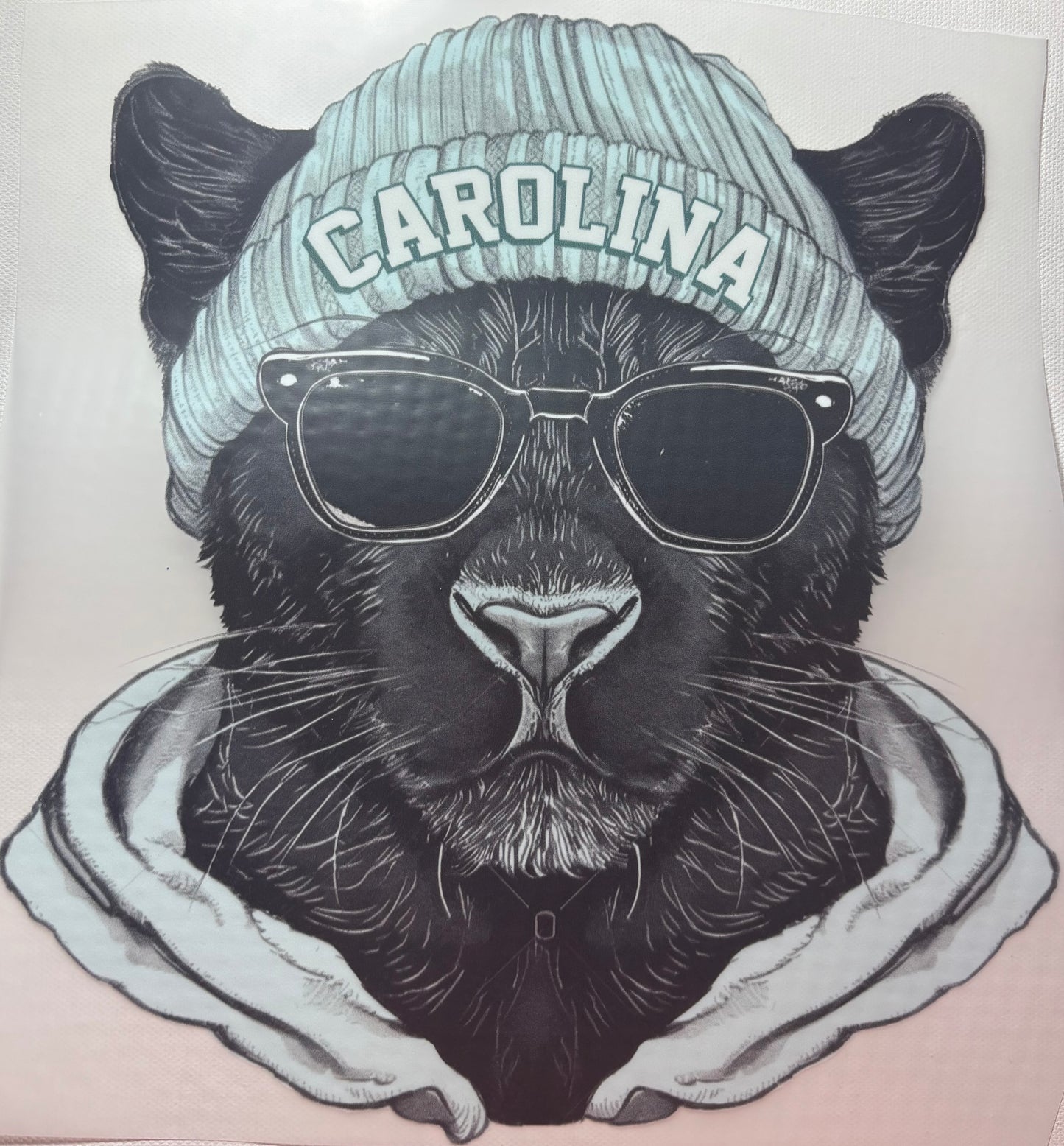 Carolina Panthers
