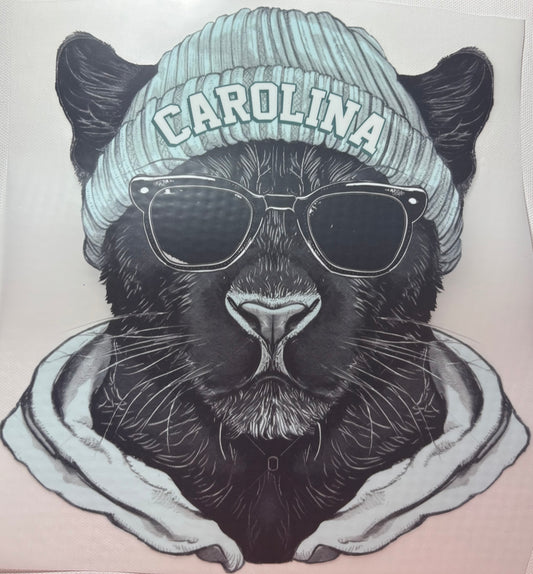 Carolina Panthers